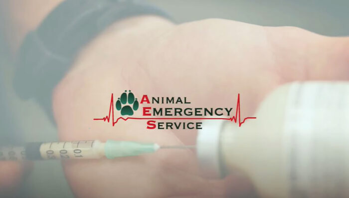 Animal Emergency Service - first video produced