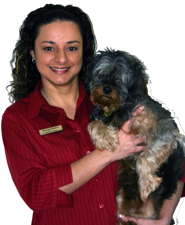 Solange Newton with Cino Newton when employed with the veterinary team at Animal Emergency Service